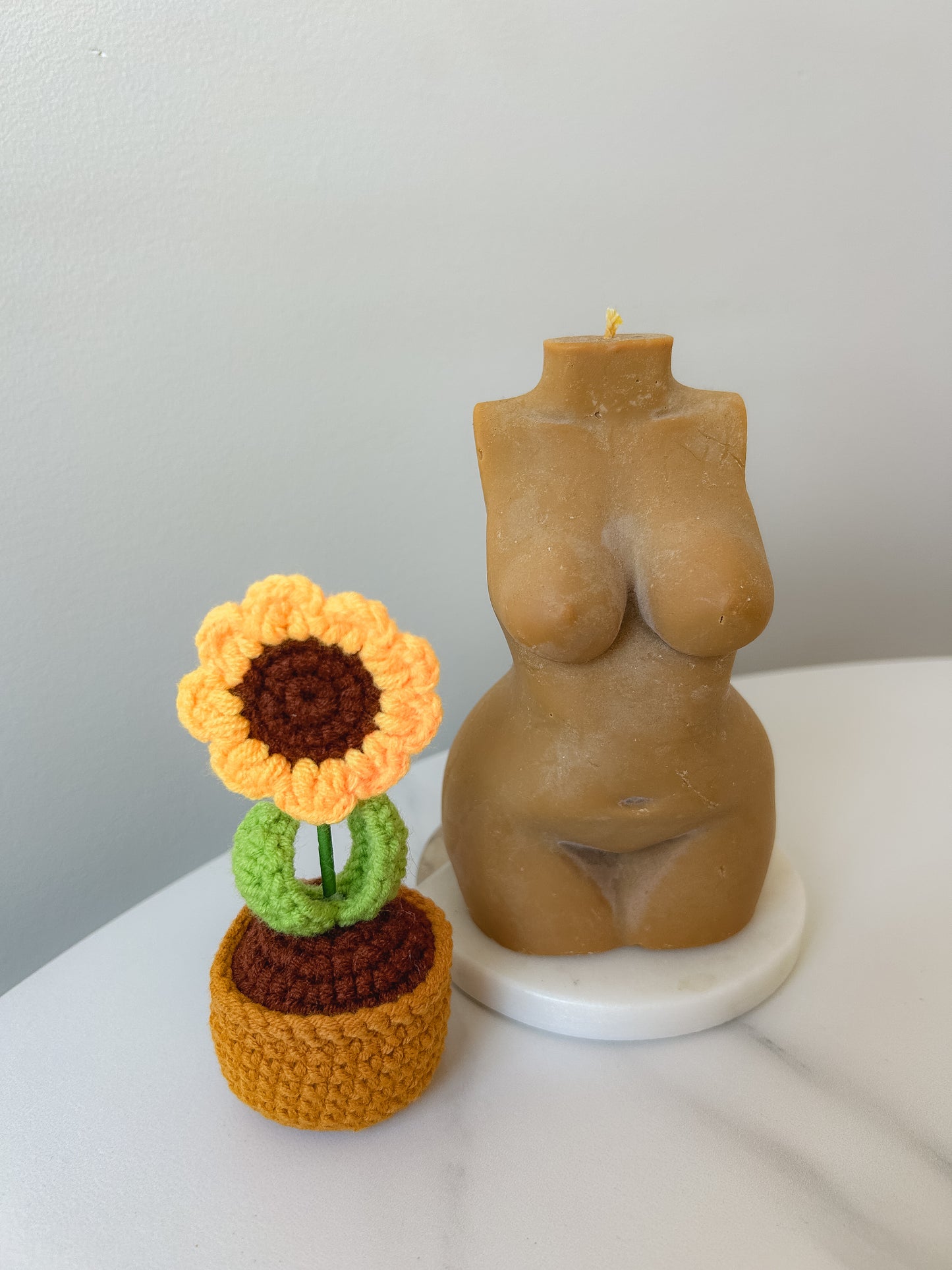 Pot Crochet Flower