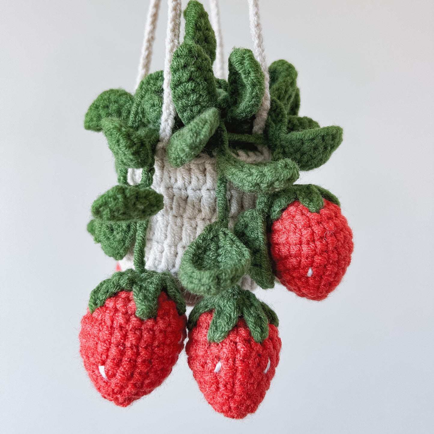 Hanging Crochet Plant