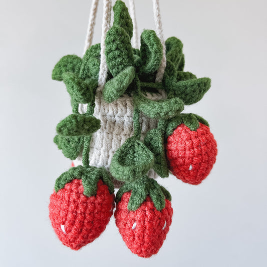Hanging Crochet Plant