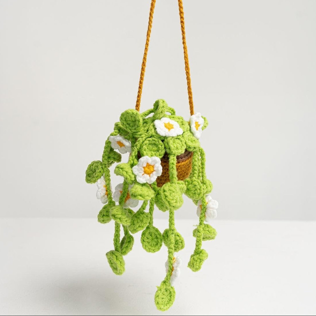 Hanging Crochet Plant