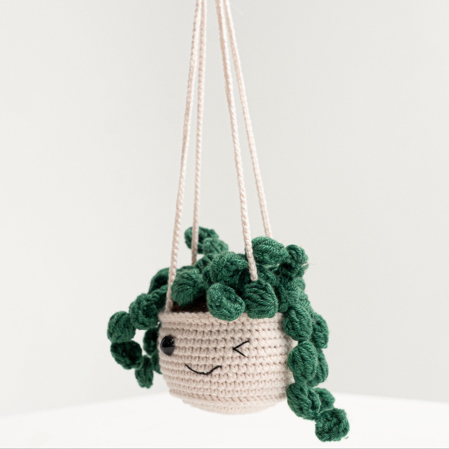Hanging Crochet Plant