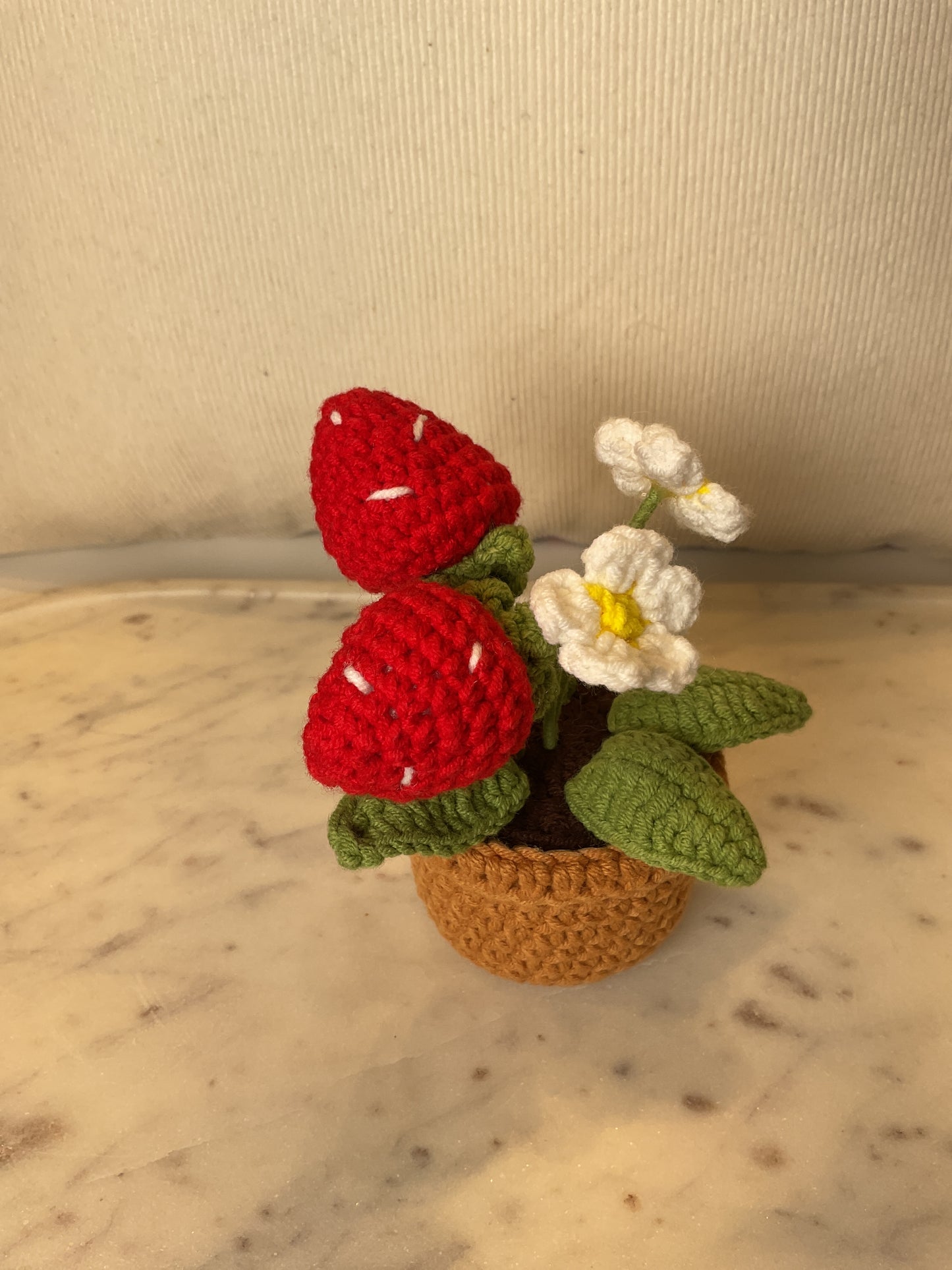Pot Crochet Flower