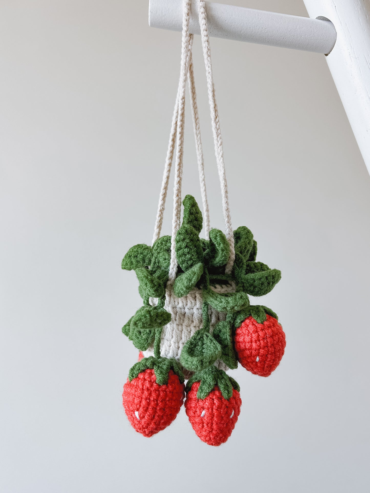 Hanging Crochet Plant