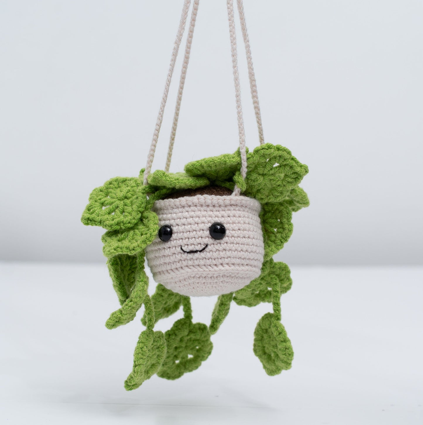 Hanging Crochet Plant