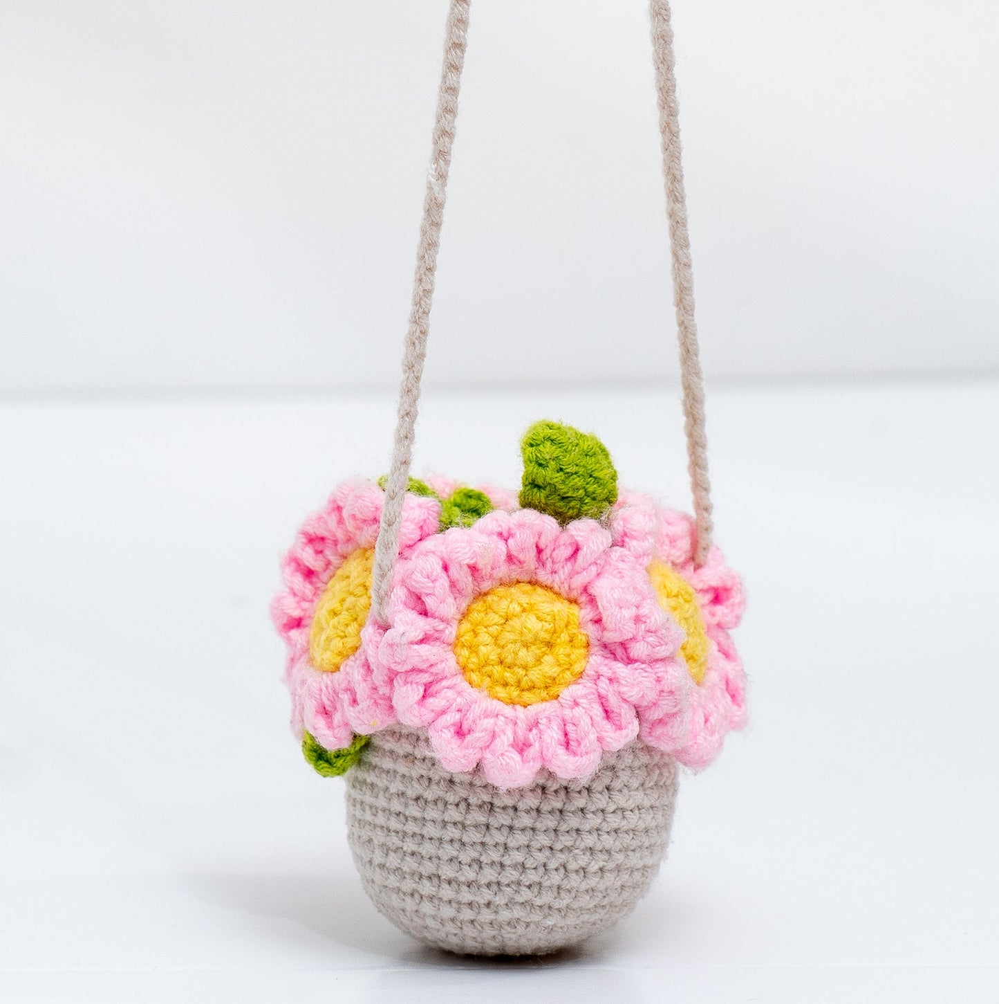 Hanging Crochet Plant
