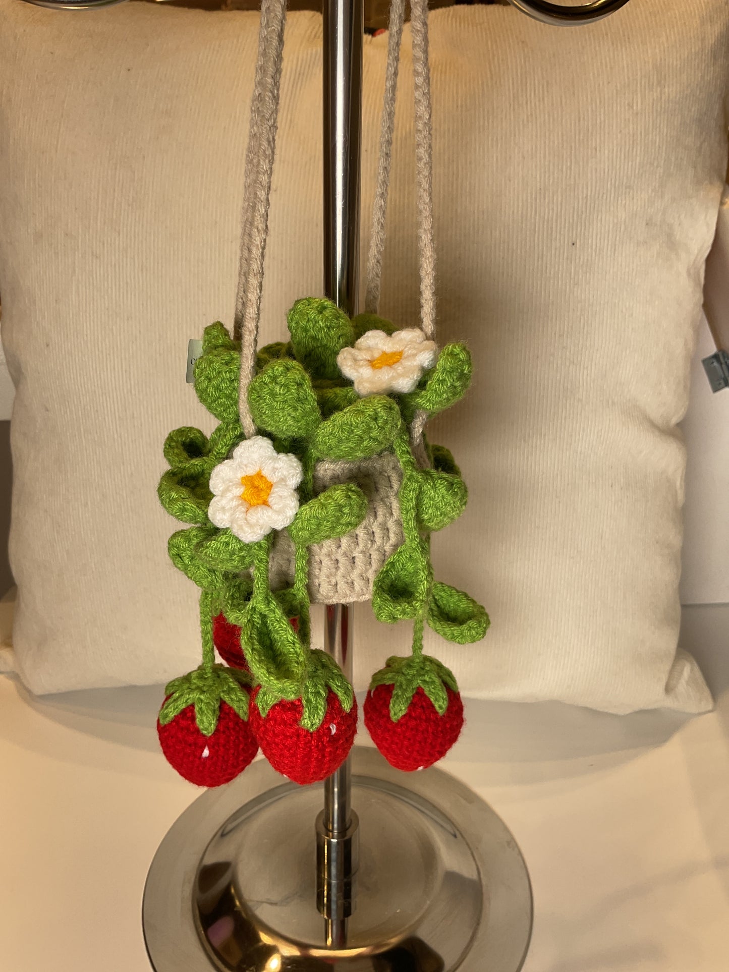 Hanging Crochet Plant